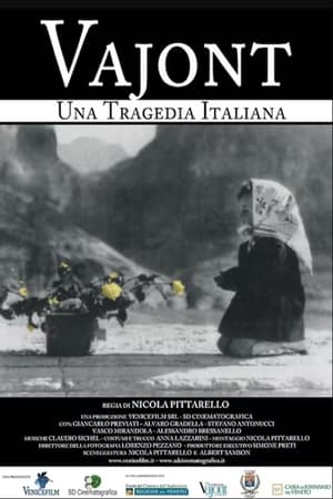 Poster Vajont - Una tragedia italiana (2015)