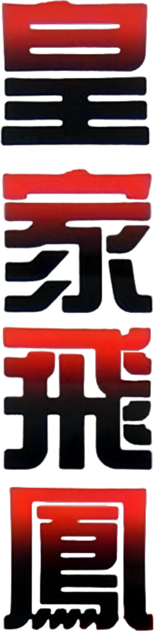 Força de Combate — Logos 2