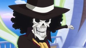 One Piece Season 19 Episode 848