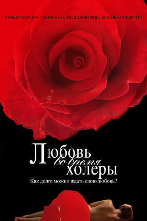 Poster Любовь во время холеры 2007