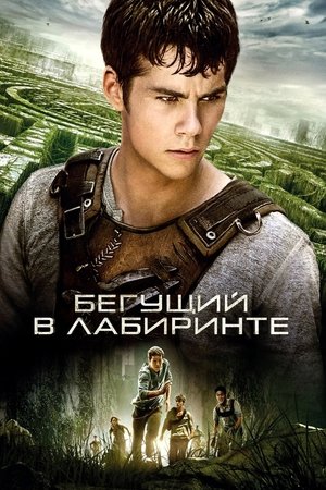 poster The Maze Runner