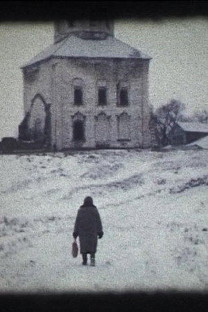 Portrait mit Fuchs drin (2005)