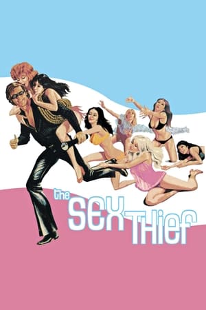 The Sex Thief poster