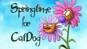 CatDog: 2×53