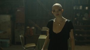 Splice: Experimento mortal Película Completa HD 1080p [MEGA] [LATINO]