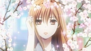 Chihayafuru: 1×1