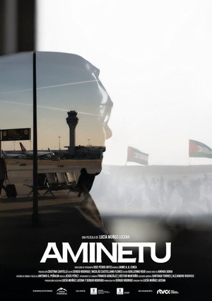 AMINETU 海报