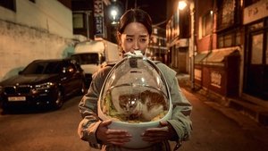 Following ( 2024 )