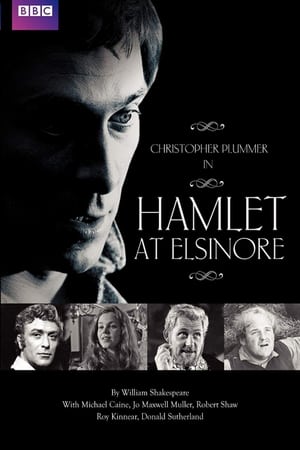 Image Hamlet at Elsinore