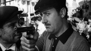 Mafioso 15