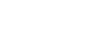 Big Time Adolescence — Logos 9