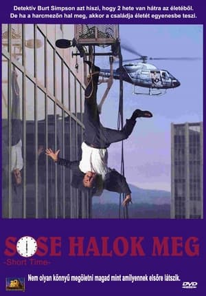 Poster Sose halok meg 1990