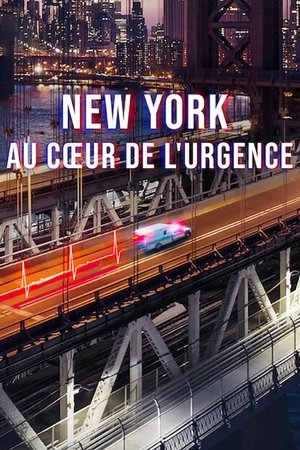 New York : Au cœur de l'urgence movie poster