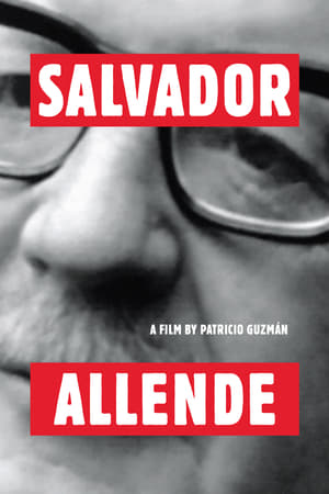 Poster Salvador Allende (2004)