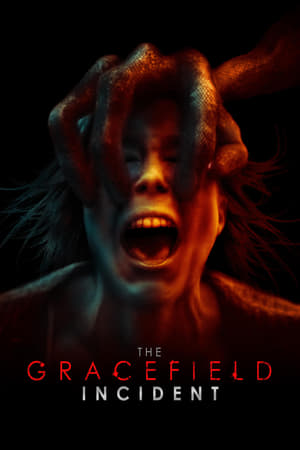 Poster The Gracefield Incident 2017