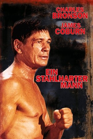 Ein stahlharter Mann (1975)