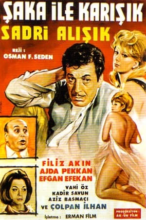 Şaka ile Karışık poster