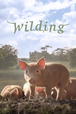 Wilding 4
