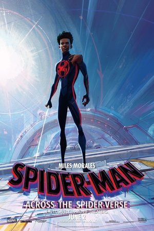 poster Spider-Man: Across the Spider-Verse