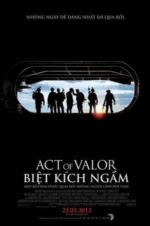 Poster Biệt Kích Ngầm 2012