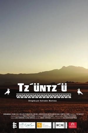 Poster Tz'üntz'ü 2019