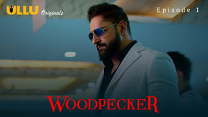 Woodpecker: 1×1 part 1