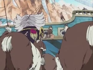 S08E236 Luffy vs. Usopp! Collision of Two Men's Pride!