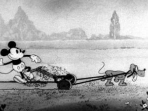 Mickey jardinier