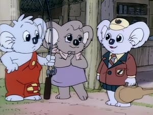 The Adventures of Blinky Bill Who is Blinky Bill