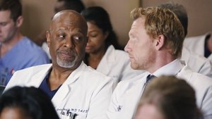 Grey’s Anatomy 11 x Episodio 13