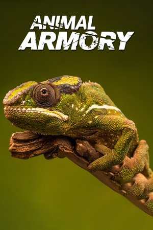 Image Animal's Armory