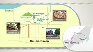 Journeys in Japan: 11×20