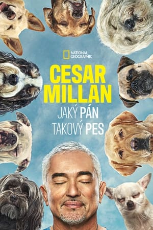 Image Cesar Millan: Jaký pán, takový pes