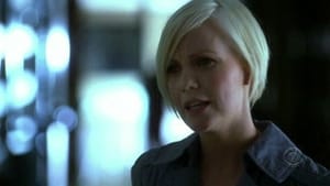 CSI: Crime Scene Investigation: 7×17