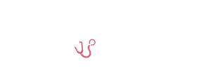 まどか26歳、研修医やってます！ — Logos 2