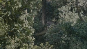 Together (2025) ดูดร่างสร้างรัก