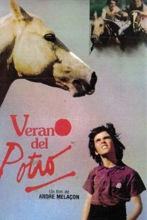 Poster El verano del potro 1991