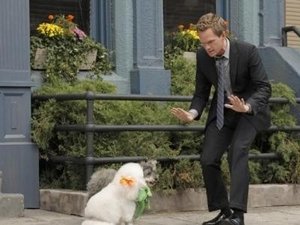 How I Met Your Mother Season 8 Episode 5