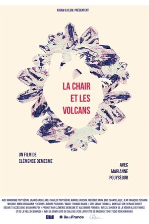 Poster Flesh and Volcanoes (2014)