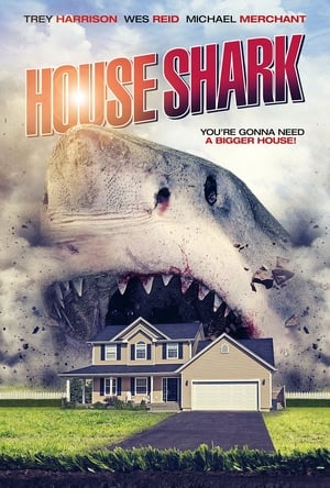 House Shark poster