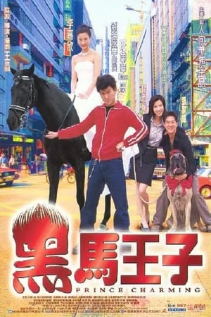 Poster 黑马王子 1999