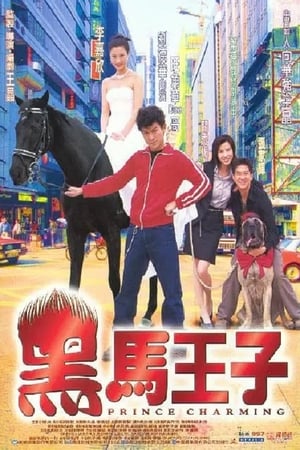 Poster 黑馬王子 1999