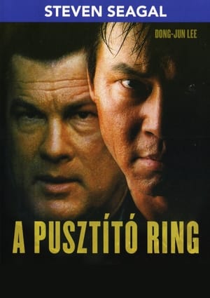 Poster A pusztító ring 2004