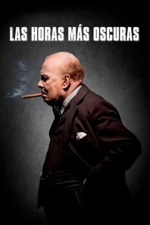 Watch El instante más oscuro (2017) HD Movie Online Free