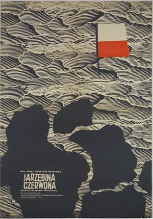 Poster Jarzębina czerwona 1970