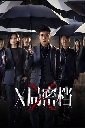Image X局密档