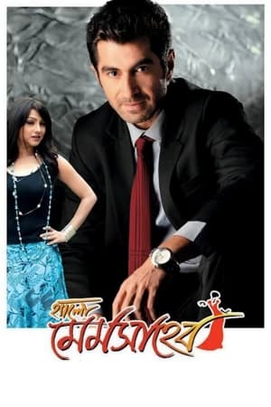 Poster Hello Memsaheb (2011)