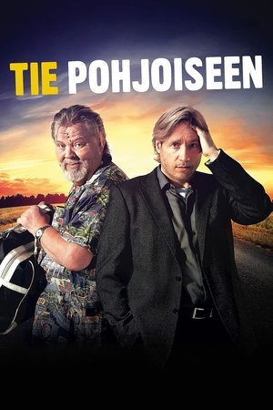 Tie pohjoiseen (2012)