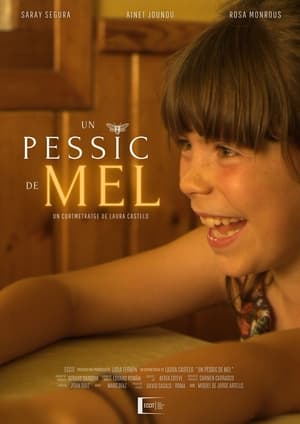 Poster Un pessic de mel 