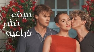 Images posters